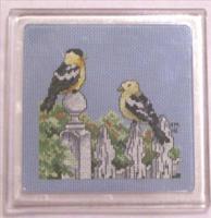 American Goldfinches Hot Plate