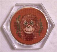 Orangutan Coaster