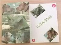 I Love Dogs Card