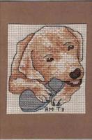 Dog with Shoe Card