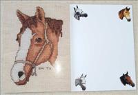 Horse Card