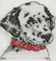 Dalmatian