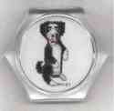 Dog Coaster