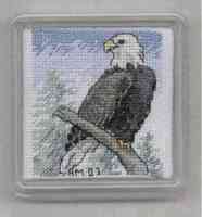Eagle Coaster