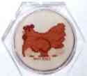 Chicken Coaster