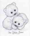 The Polar Bear