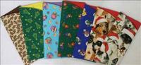 Seasonal Eyeglass Cases