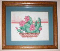 Flowering Cactus