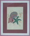 Star Fish Picture