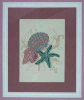 Star Fish Picture