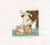 Calf & Cow