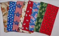 Seasonal Eyeglass Cases