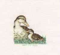 Duck & Duckling