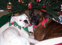 Waiting for Santa