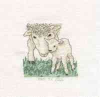 Sheep & Lamb