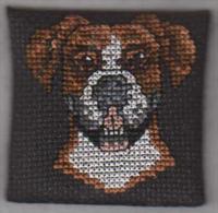 Boxer