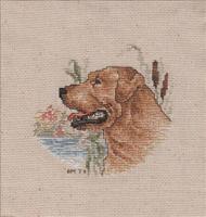 Golden Lab