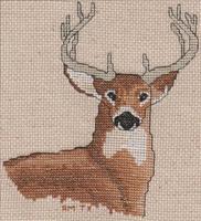 Buck