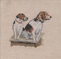 Beagles