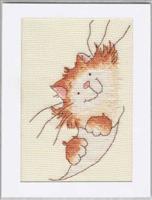 Curious Cat Card