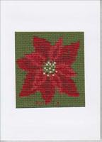 Poinsettia