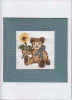 Teddy Card