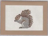 Autumn Squirrel