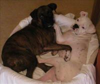 We love sharing a bed.
