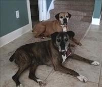 Mae and Bo