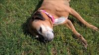 Enjoying the sun.