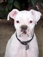 Dirty face Peanut!