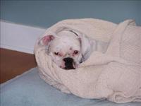 Keeping warm.