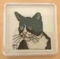 Black and White Cat