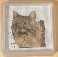 Maine Coon