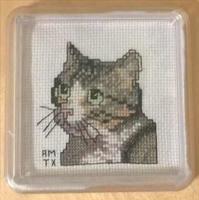 Tabby and White