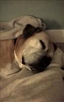 Sleeping Mae