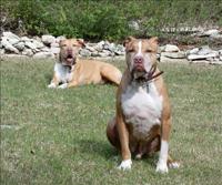 Outside Fun