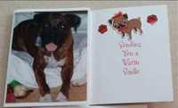 Bo Card