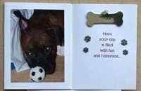 Bo Card