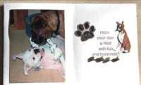 Boxer Card