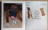 Bo With His Ball Card