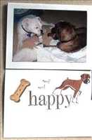 Happy Card