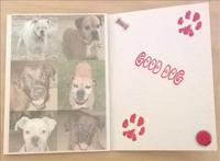 Good Dog Card